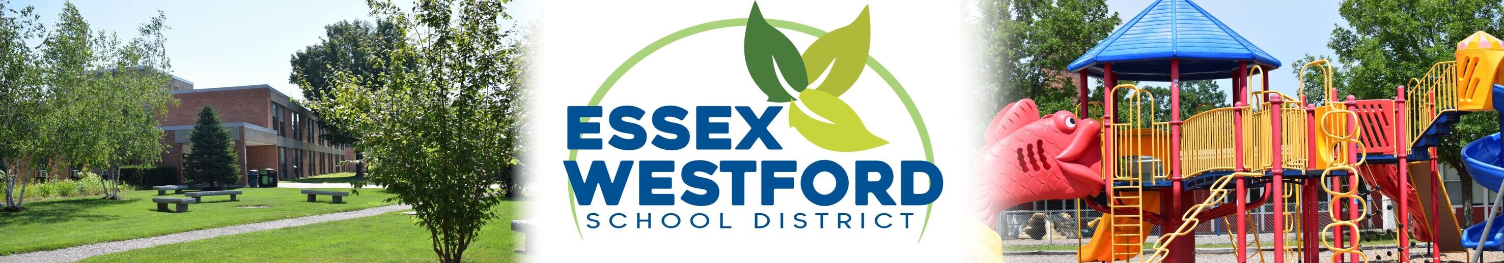 District Logo