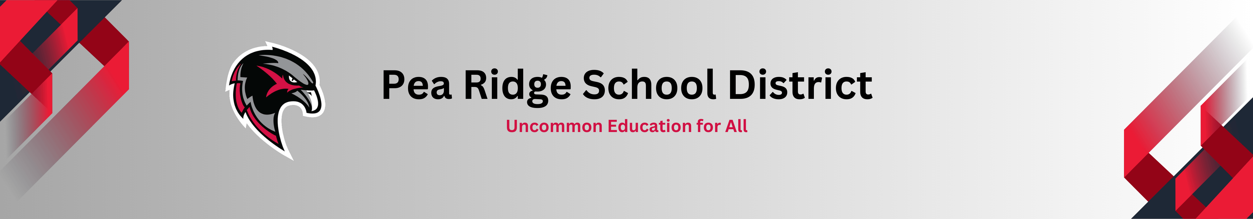 District Logo