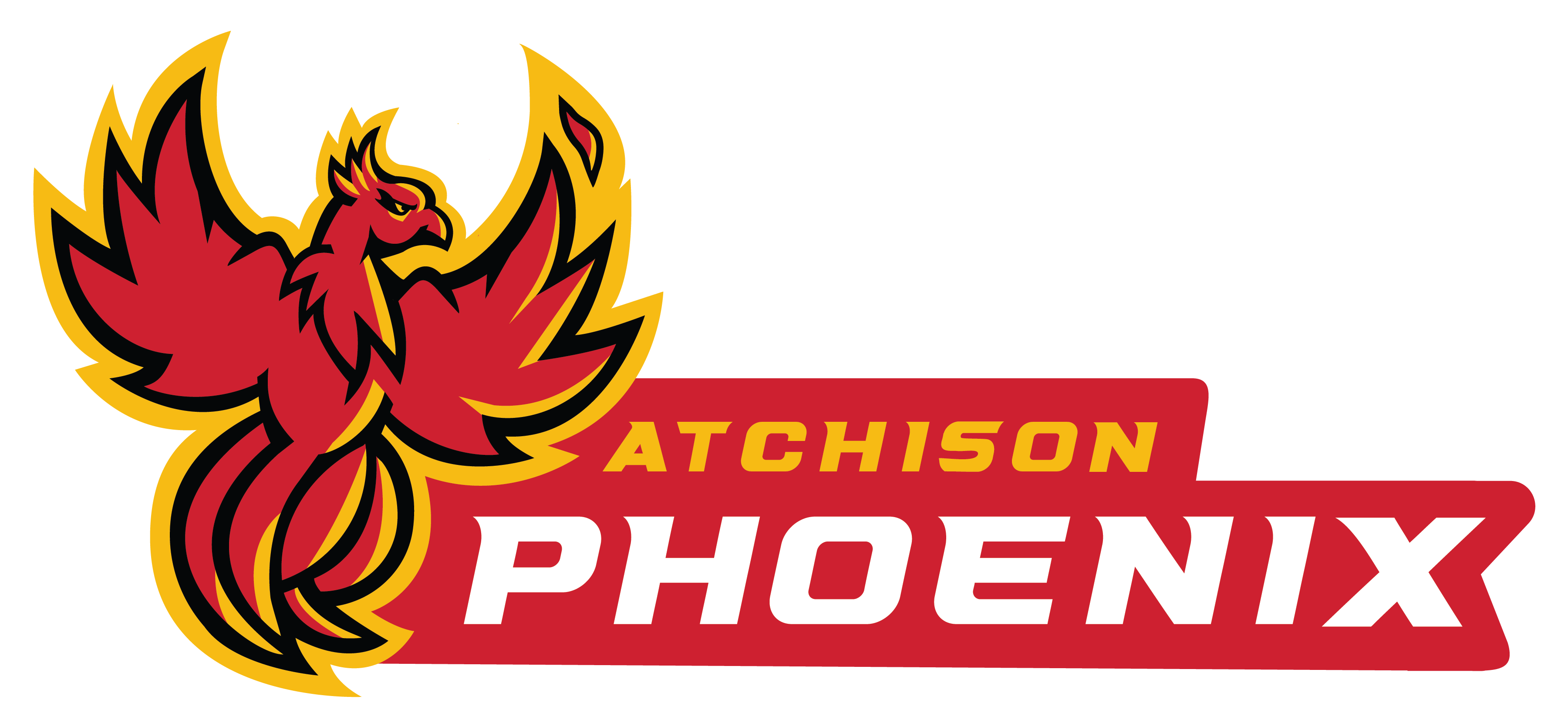 District Logo