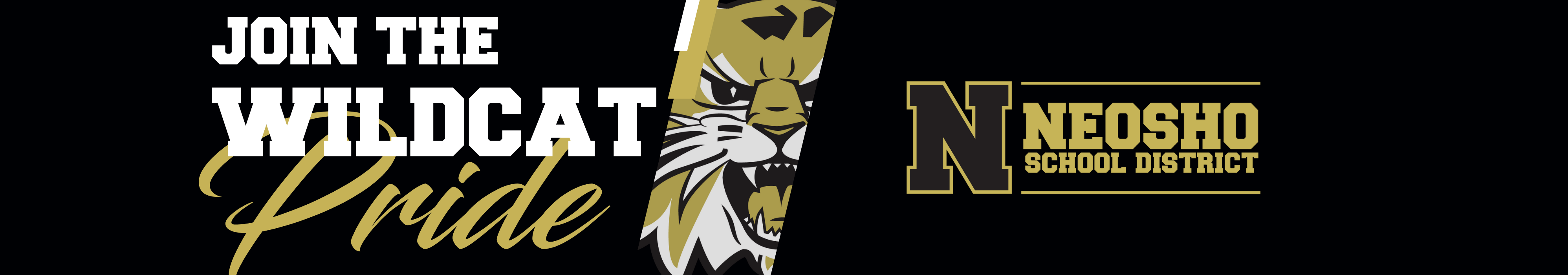 District Logo