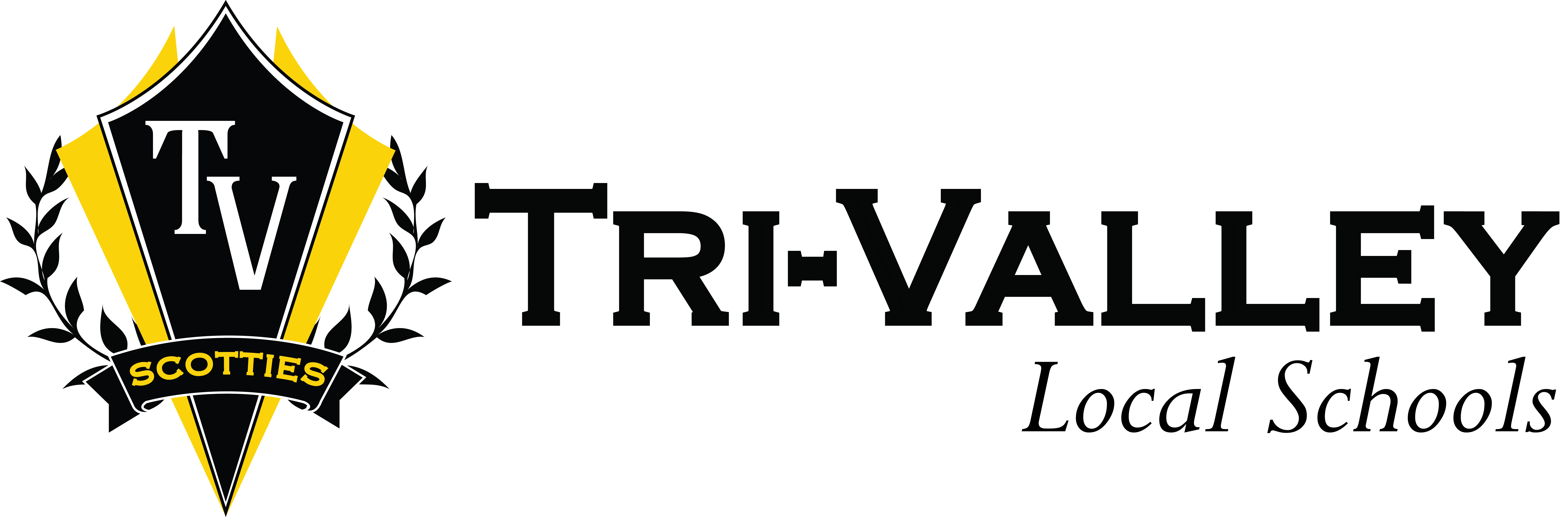 District Logo
