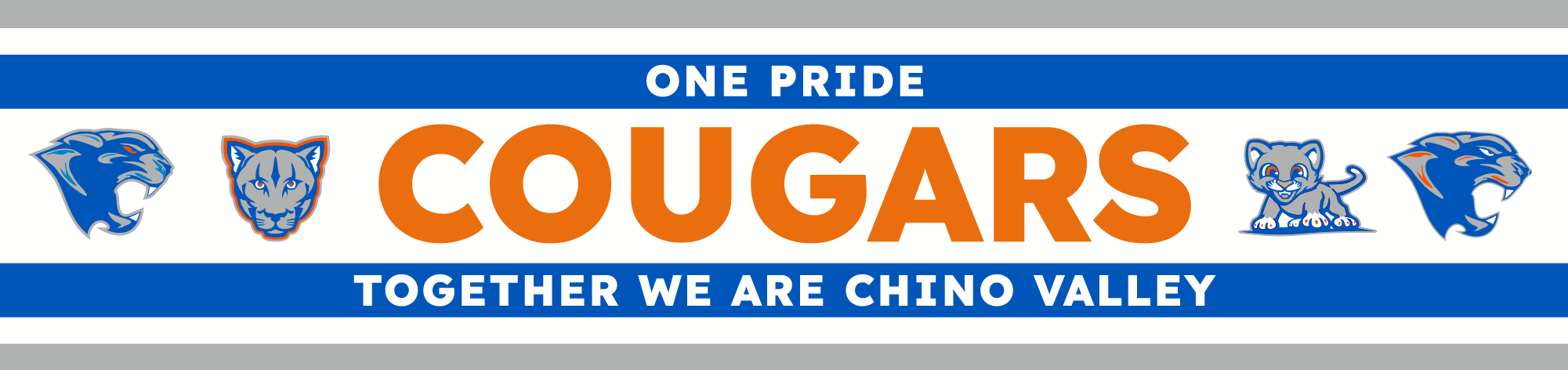 District Logo