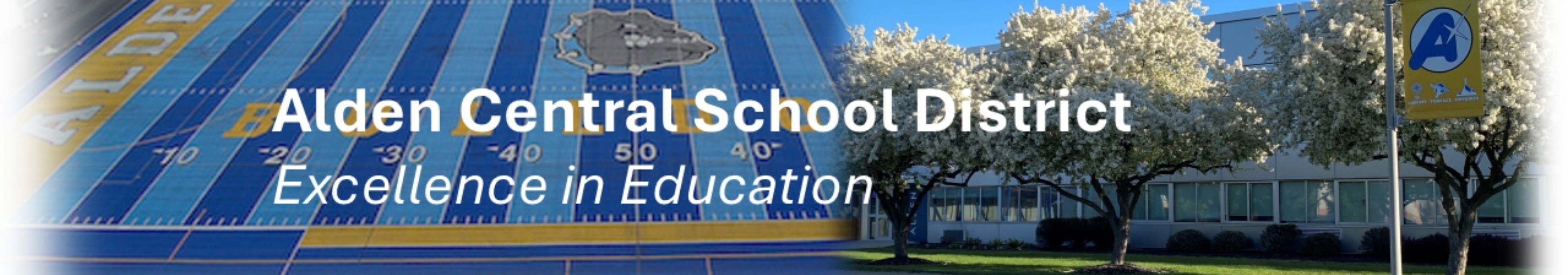 District Logo