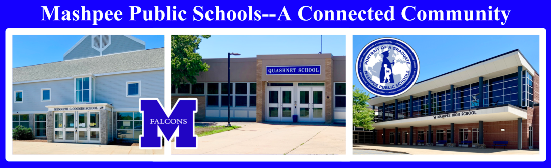 District Logo