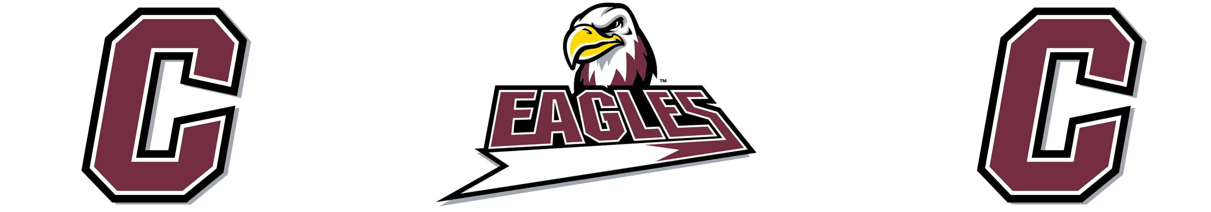 District Logo