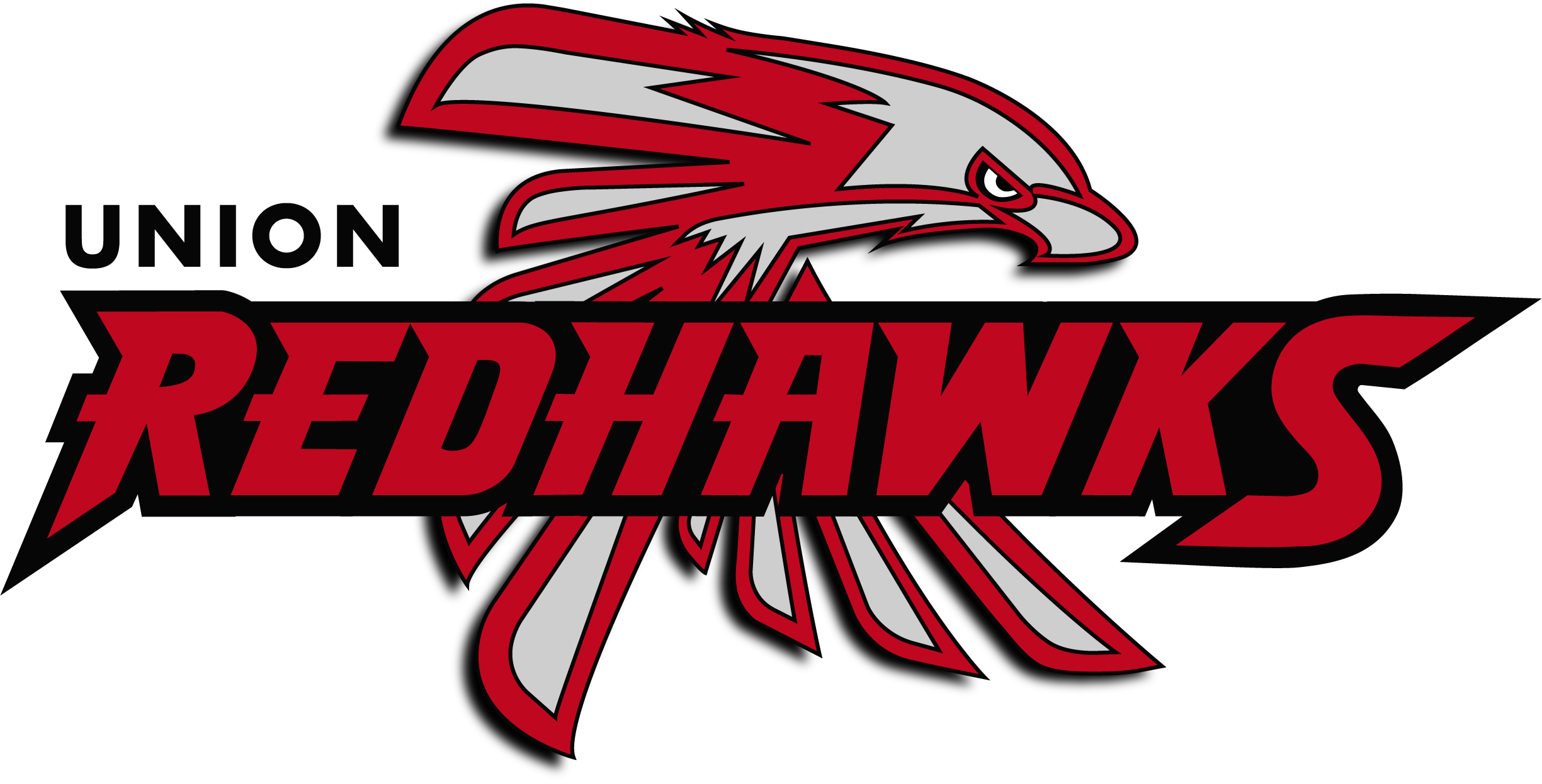 District Logo